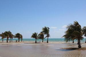 Beautiful daytime view of Royal Commission Beach in Yanbu, Saudi Arabia. photo