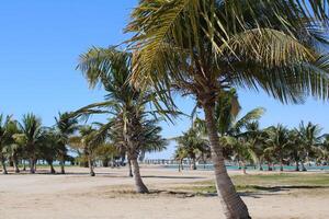 Beautiful daytime view of Royal Commission Beach in Yanbu, Saudi Arabia. photo