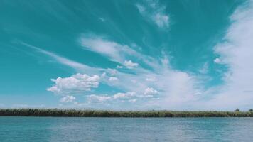 View of green reeds and birch trees on rover shore. Motorboat sails fast on the river. View from nose of boat floating on river. Beauty of nature. beautiful sky video