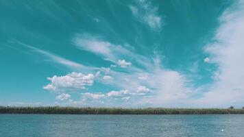 vue de vert roseaux et bouleau des arbres sur vagabond rive. bateau à moteur voiles vite sur le rivière. vue de nez de bateau flottant sur rivière. beauté de la nature. magnifique ciel video