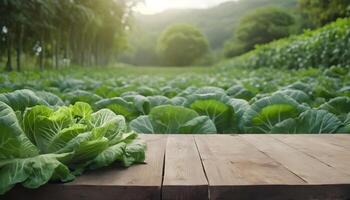AI generated Wooden table with cabbage, cabbage field backgropu photo