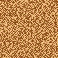 Biological turing reaction diffusion pattern in brown color vector illustration. Memphis style maze formation texture background.