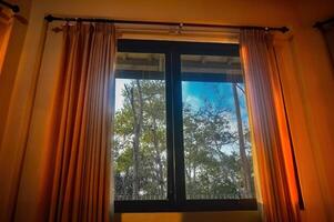 forest view from inside a window with curtains in the morning photo