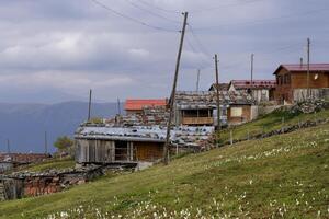 Mountain village on the Karester Yalas plateau, Trabzon, Turkey photo