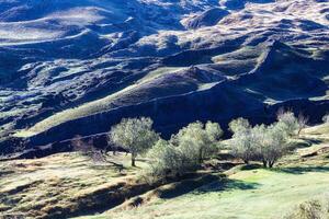 geológico formación evocando Noé s arca, dogubayazit, Turquía foto