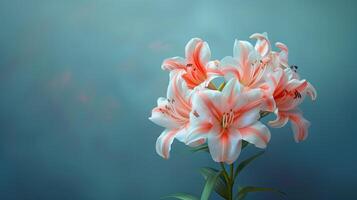 AI generated Beautiful lily flowers on a blue background. Place for text. photo