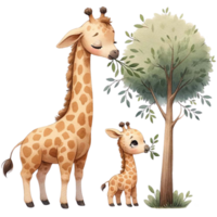 AI generated A mother giraffe teaching the calf to eat leaves from a tall tree  watercolor clipart.Ai Generate png