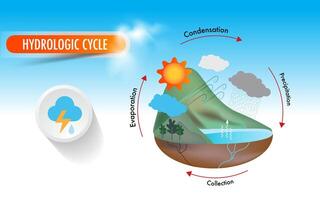 el hidrológico ciclo circulación de agua en el atmósfera terrestre sistema vector