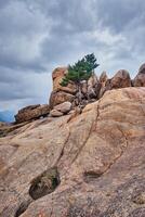 Rock with pine trees in Seoraksan National Park, South Korea photo