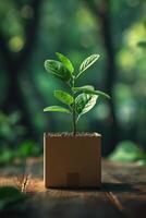 AI generated A young green plant in an eco-pot on the floor, a germinating seed in a craft paper pot photo