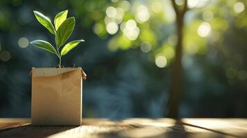 AI generated A young green plant in an eco-pot on the table, a germinating seed in a glass at sunset photo