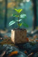 AI generated A young green plant in an eco-pot on the floor, a germinating seed in a craft paper pot photo