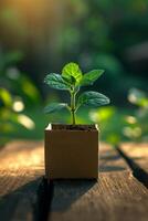 ai generado un joven verde planta en un olla ecológica en el mesa, un germinando semilla en un vaso a puesta de sol foto