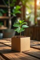 ai generado un joven verde planta en un olla ecológica en el mesa, un germinando semilla en un vaso a puesta de sol foto