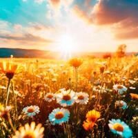 AI generated Photo of a flower field with a sunbeam-filled sky