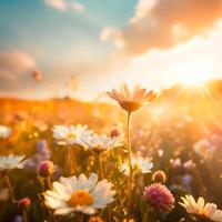 ai generado foto de un flor campo con un lleno de rayos de sol cielo