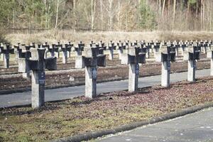 Palmiry, Poland - March 3rd, 2024 - Cross tombstones at Cemetery and Memorial photo