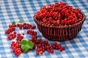 Redcurrant in wicker bowl on the table photo