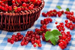 Redcurrant in wicker bowl on the table photo