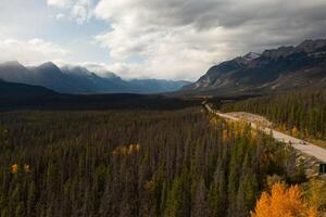 Aerial view of the Icedield Park way in autumn. photo