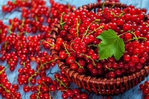 Redcurrant in wicker bowl on the table photo
