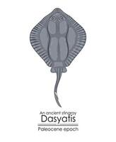 An ancient stingray Dasyatis, a Paleocene epoch creature. vector