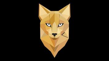 low-poly style animation. mystérieux regard de une sauvage chat. Triangles gracieusement se concrétiser, tissage ensemble à lionne tête dans une faible poly style. video