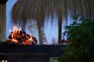 sabores de el costa, asar a la brasa sardina brochetas en el barbacoa foto