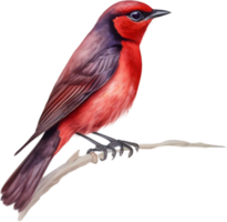AI generated Watercolor painting of crimson chat bird. png