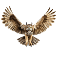 AI generated Owl spreading wingss png isolated on transparent background