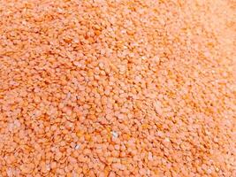 Top View of Red Lentils, Masoor Daal Organic Food photo