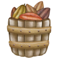 cesta lleno de cacao, cacao conjunto png