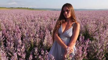 A young woman with long hair gently caresses the sage bushes with her hand. Field of Clary sage - Salvia Sclarea in bloom, cultivated to extract the essential oil and honey. Close up. Selective focus. video