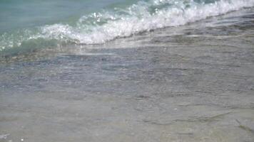 kvinna gående på de strand på solnedgång under sommar semester högtider slow motion, närbild, dolly video. vikt förlust och kropp bild begrepp. kvinna med perfekt passa kropp gående självsäker på strand. video