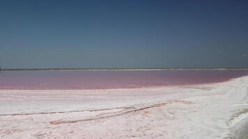 Bright pink red lagoons of salt lake. Picturesque drone point of view of the colorful exotic pink salt lagoon on a sunny summer day. Dunaliella salina. Aerial panoramic wide shot video