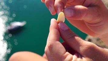 mujer comiendo lechoso almendra nueces. un joven caucásico mujer comiendo Fresco almendra después Mañana aptitud yoga cerca mar. solamente manos son visiblemente. sano vegano alimento. lento movimiento video