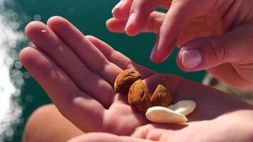 mujer comiendo lechoso almendra nueces. un joven caucásico mujer comiendo Fresco almendra después Mañana aptitud yoga cerca mar. solamente manos son visiblemente. sano vegano alimento. lento movimiento video