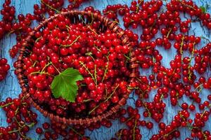 Redcurrant in wicker bowl on the table photo