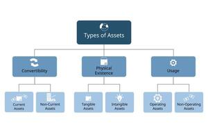 type of assets for convertibility, physical existence, usage for each assets categories vector