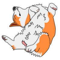 corgi fazendo desbravar png