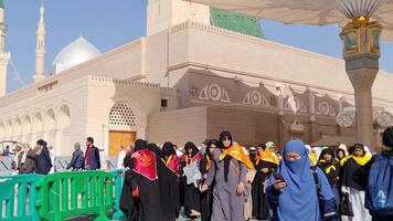 Medina, Saudi Arabia on March 1, 2024. Queues of female Umrah pilgrims from all over the world line up to enter Raudhah or the Tomb of the Prophet Muhammad. Gate 37. Use a registered Tasreh or Nusuk. video