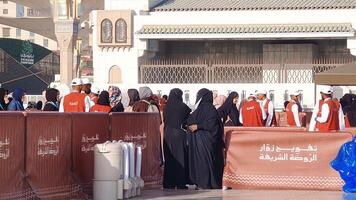 Medina, Saudi Arabia on March 1, 2024. Queues of female Umrah pilgrims from all over the world line up to enter Raudhah or the Tomb of the Prophet Muhammad. Gate 37. Use a registered Tasreh or Nusuk. video