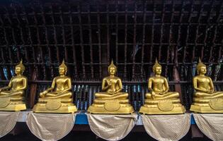 Rows of golden Buddha statue in Seema Malaka buddhist temple on Beira Lake in Colombo, Sri Lanka. Colombo is the commercial capital and largest city of Sri Lanka. photo