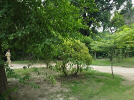 Aerial view of Jinah Garden on 2023-07-17 in Lahore Pakistan. photo