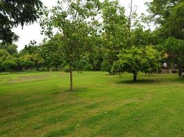 Aerial view of Jinah Garden on 2023-07-17 in Lahore Pakistan. photo