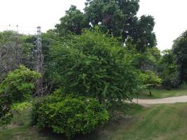 Aerial view of Jinah Garden on 2023-07-17 in Lahore Pakistan. photo