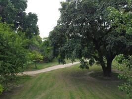 Aerial view of Jinah Garden on 2023-07-17 in Lahore Pakistan. photo