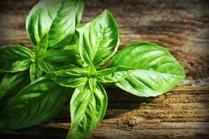 Fresh organic basil leaves on dark,old wooden background photo