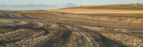 sunset over a biking trail and fields in Colorado foothills, early spring scenery, panoramic banner photo