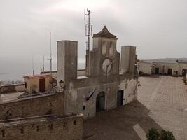 panorama de Nápoles desde castel sant'elmo ofertas un asombroso ver de el de la ciudad vibrante calles, histórico puntos de referencia, y el fascinante belleza de el bahía de Nápoles foto